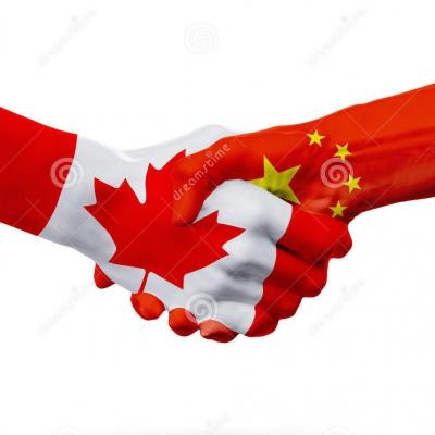 Canada de drapeaux pays de la chine concept de poignee de main d amitie d association 89662324 2